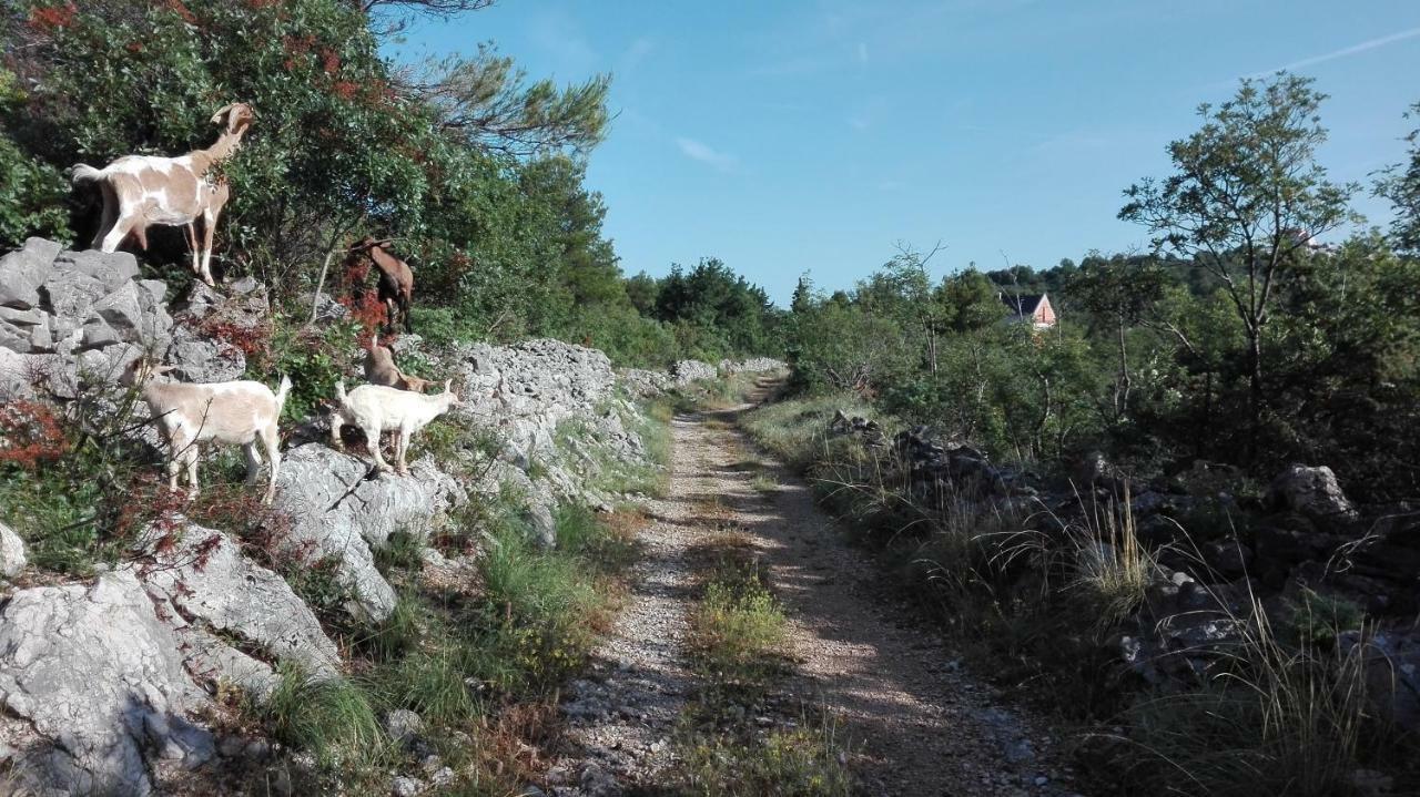 Apartmán Flash Šibenik Exteriér fotografie